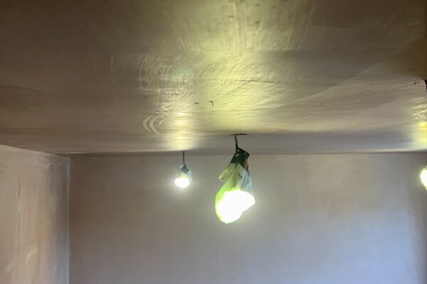 434444252_960537832742065_7271564222200932167_n