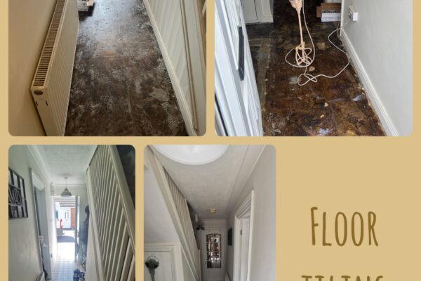 448772085_1014330894029425_8637797866212883259_n