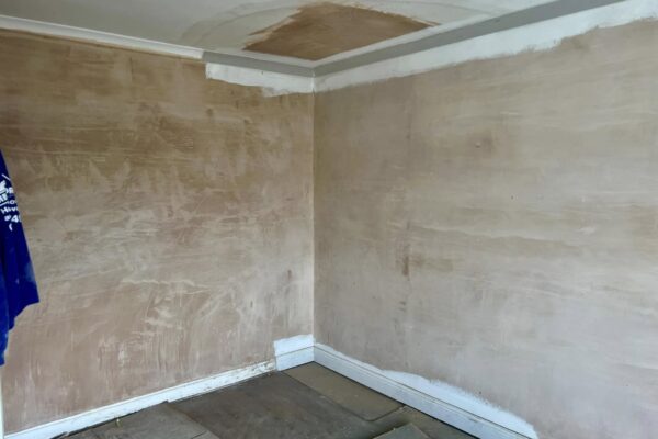 450803059_1031859112276603_5919547797950277485_n