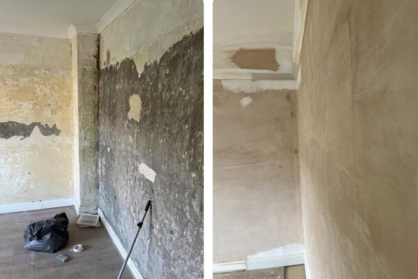 450844686_1031859188943262_2819756579193346586_n