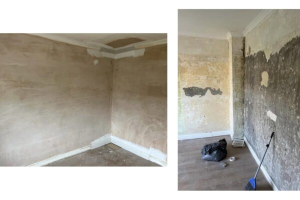 451050269_1031859092276605_4042596432537989696_n